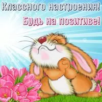 Прикольная картинка с зайчиком — будь на позитиве