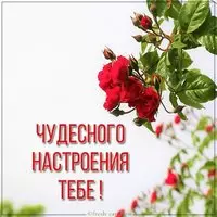 Красивая картинка чудесного настроения