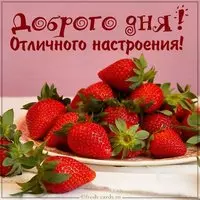 Красивая картинка доброго дня отличного настроения