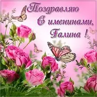 Картинка с розами и бабочками с именинами Галина