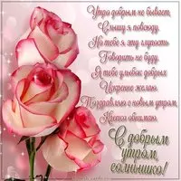 Красивая картинка с добрым утром солнышко