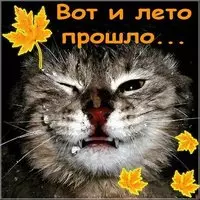 Красивая картинка с последним днем лета