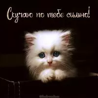 Красивая картинка скучаю по тебе сильно