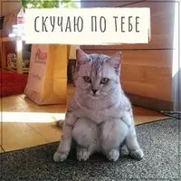 Красивая картинка скучаю по тебе