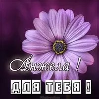 Красивая открытка для тебя Анжела