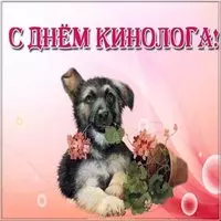 Красивая открытка с днем кинолога