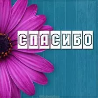 Красивая открытка с цветами спасибо