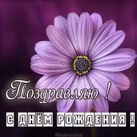 Креативная картинка с днем рождения с цветами
