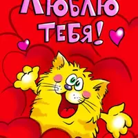 Люблю тебя котька