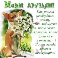 Моим дорогим  друзям 