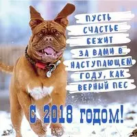 Прикольная картинка с бегущим псом — с 2018 годом