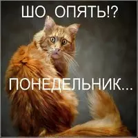 Ну вот опять понедельник картинка прикольная