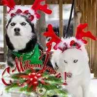 Оригинальная новогодняя бесплатная открытка