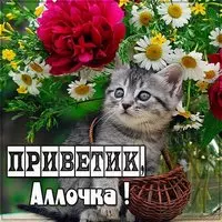 Открытка Аллочка приветик