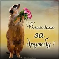 Открытка благодарю за дружбу