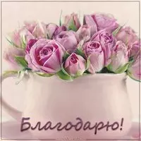 Открытка благодарю женщине