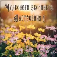 Открытка чудесного весеннего настроения