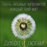 Открытка добра и любви