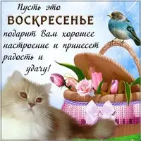 Открытка добрый воскресный день
