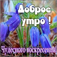 Открытка доброе утро хорошего воскресенья