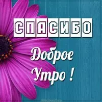 Открытка доброе утро спасибо