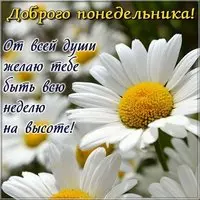 Открытка доброго понедельника