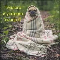Открытка доброго вечера теплого уютного