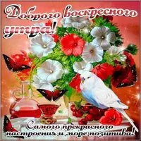 Открытка доброго весеннего воскресного утра и дня