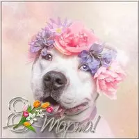 Открытка электронная к 8 марта фото