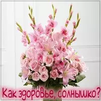 Открытка как здоровье солнышко