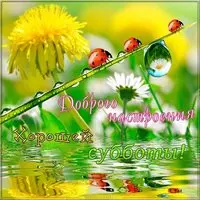 Открытка хорошей субботы