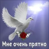 Открытка мне очень приятно
