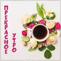 Открытка прекрасное утро