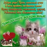 Открытка прекрасного воскресного дня