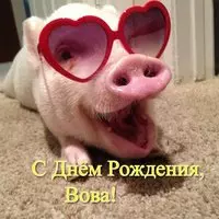 Открытка прикольная с днем рождения Вова