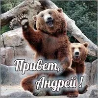 Открытка привет Андрей