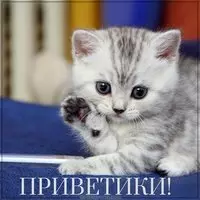 Открытка приветики