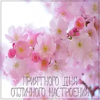 Открытка приятного дня и отличного настроения