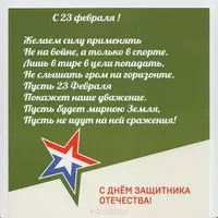 Открытка с 23 февраля братьям