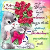 Открытка с 5 месяцами мальчика