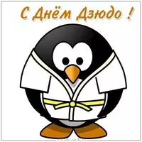 Открытка с днем дзюдо