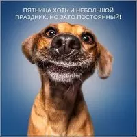 Открытка с днем пятницы