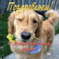 Открытка с днем рождения Даша прикольная