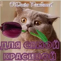 Открытка с днем рождения девушке прикольная