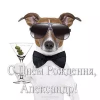 Открытка с днем рождения для Александра прикольная