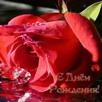 Открытка с днем рождения для девушки