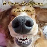 Открытка с днем рождения коллеге мужчине прикольная