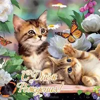 Открытка с днем рождения котики