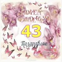 Открытка с днем рождения на 43 года