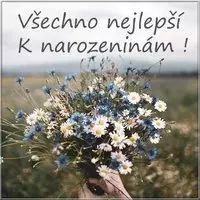Открытка с днем рождения на чешском языке